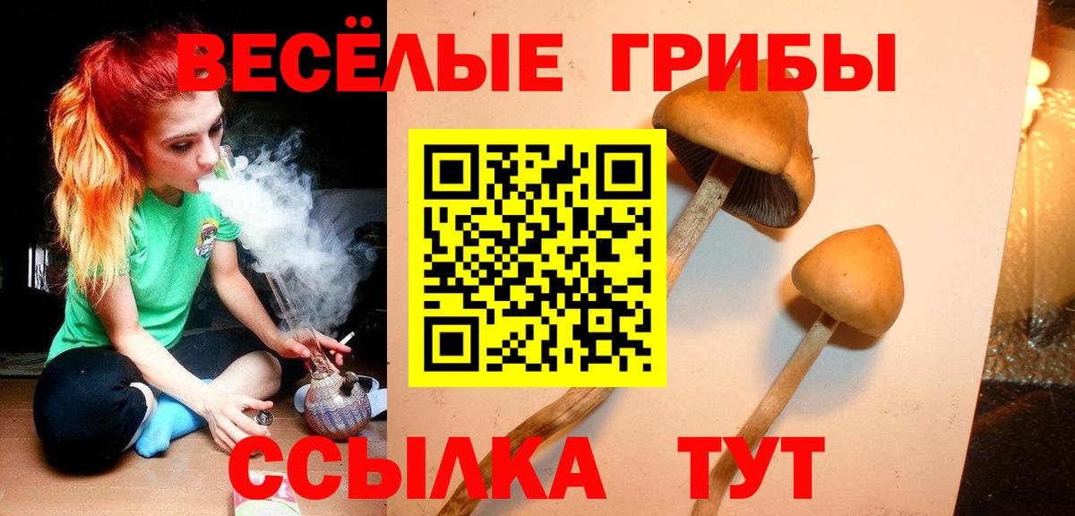 Псилоцибиновые грибы ЛСД  Вход с VPN  Чита 
