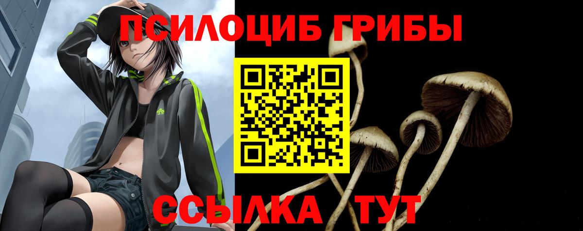 Псилоцибиновые грибы GOLDEN TEACHER Чита